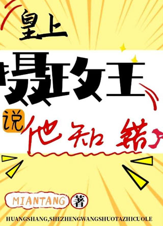 皇上，摄政王说他知错了小说