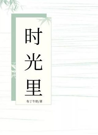 时光里小说