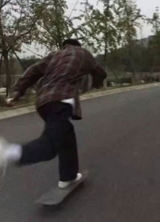 不合格黑粉阅读小说