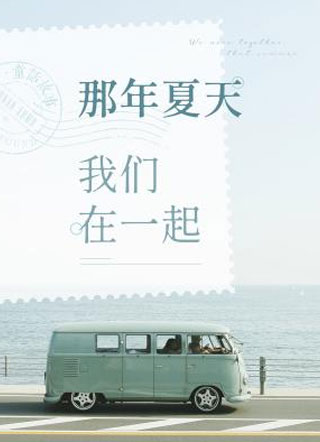 那年夏天我们在一起小说