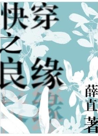 快穿之良缘嵇沄小说
