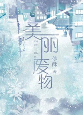美丽废物小说