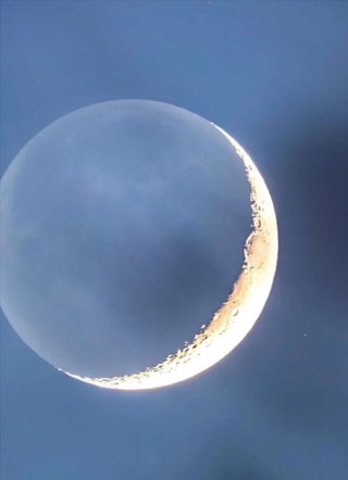 送心宋心小说
