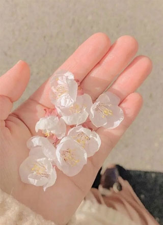 高冷同桌倒追我宋燎小说