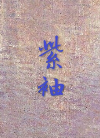 紫袖小说
