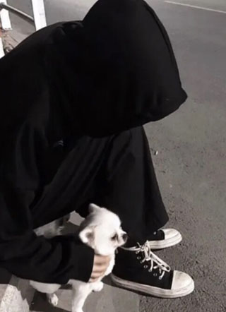 送心严绍小说