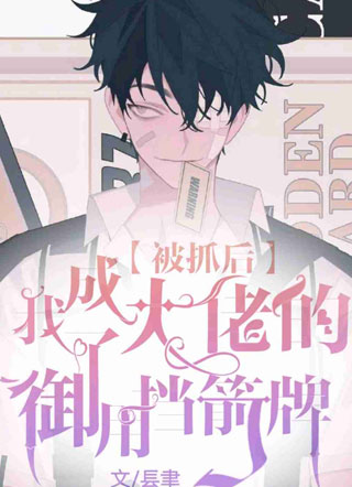 被抓后我成了大佬的御用挡箭牌阎良宇小说