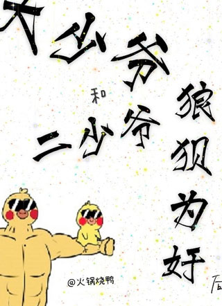 大少爷和二少爷狼狈为奸后小说