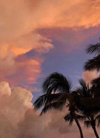 被迫和大佬针锋相对殷墨严司邢小说