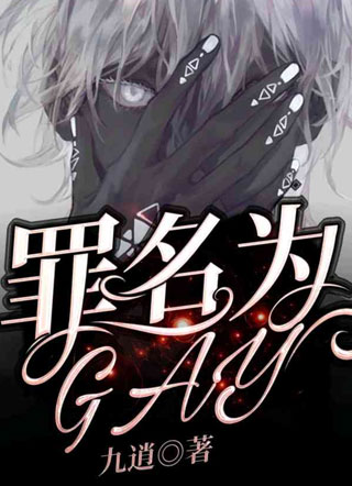 罪名为GAY陆敛小说