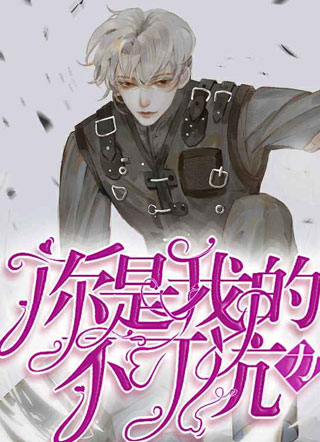 你是我的不可抗力小说