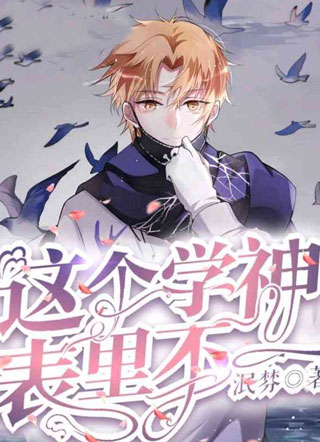 这个学神表里不一小说
