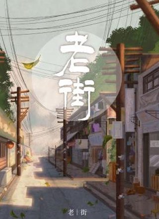 老街陆羽声小说