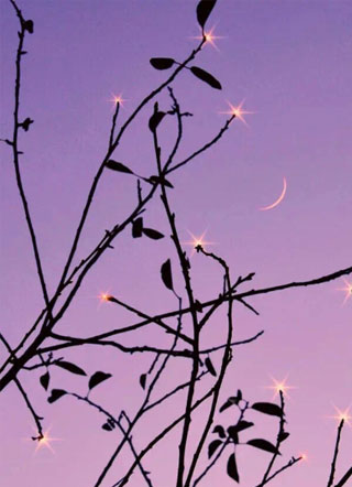 顾少家的小娇夫超甜哒!小说