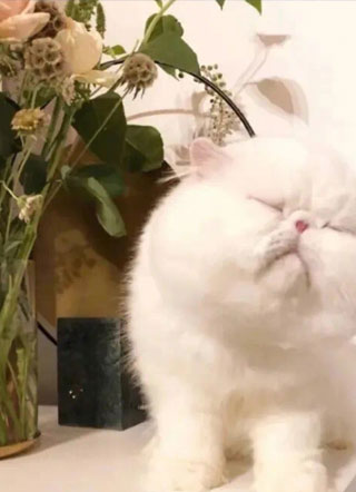 渣男拿我换初恋by小说