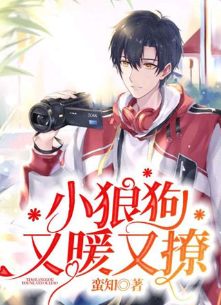 小狼狗又暖又撩蛮知小说