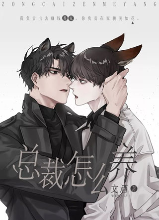 总裁怎么养小说