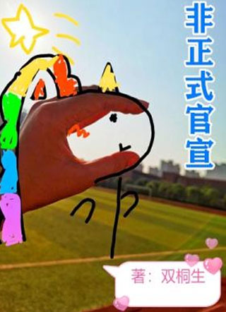 非正式官宣小说