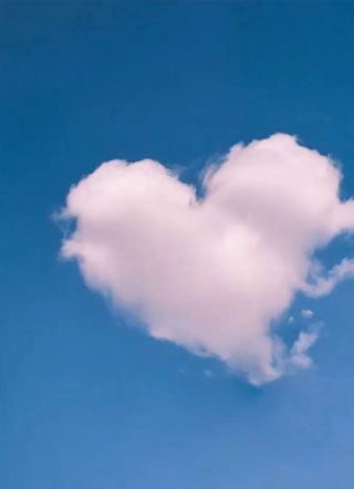 论在精神病院该如何追老攻肖沉沈池小说