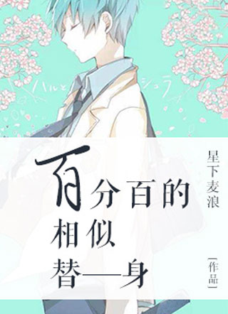百分百的相似替身小说