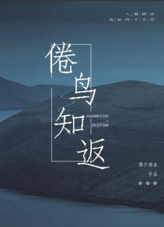 倦鸟知返小说