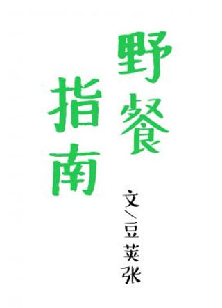 野餐指南林开小说