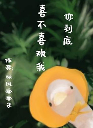 你到底喜不喜欢我？小说