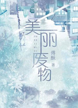 美丽废物傅酥小说