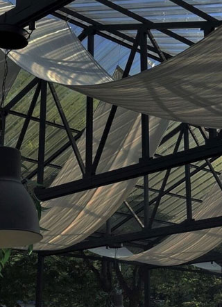 独酌月光周惟月小说