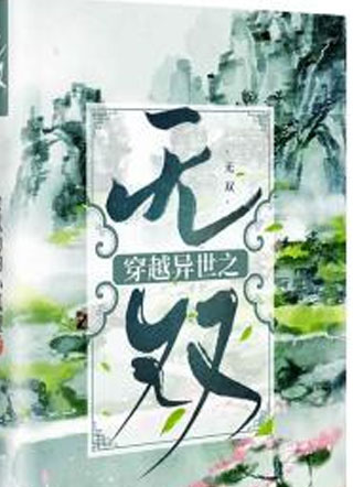 穿越异世之无双小说