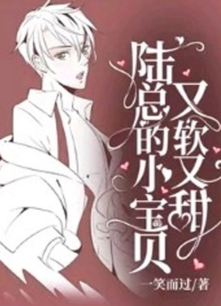陆总的小宝贝又软又甜小说