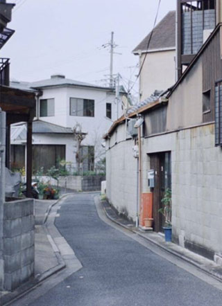 温念南他说我是黑莲花小说