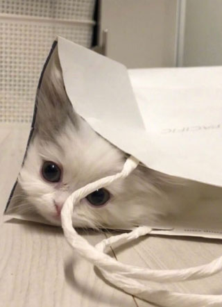 常乐封先生的撒娇精又奶又甜小说