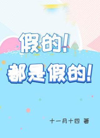 假的！都是假的！小说