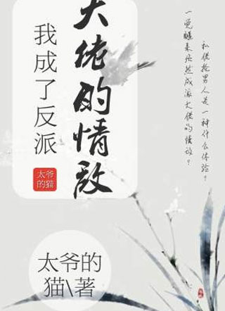 我成了反派大佬的情敌小说