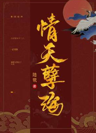 情天孽海小说