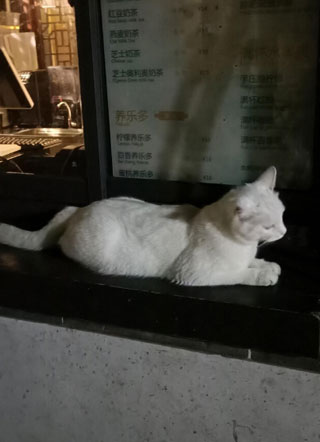 替身受被渣攻扫地出门之后小说