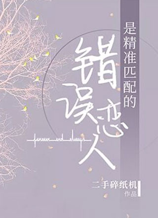 是精准匹配的错误恋人小说