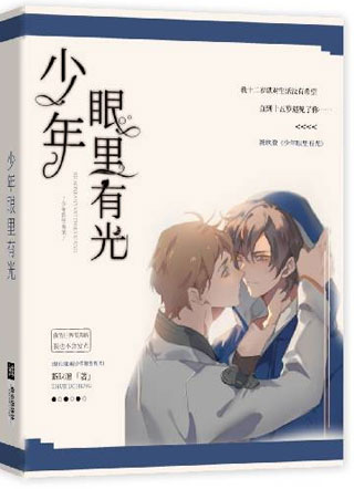 少年眼里有光小说