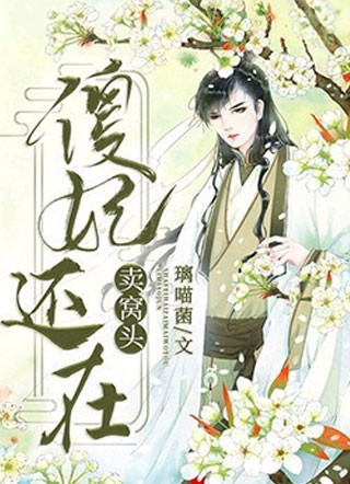 傻妃还在卖窝头小说