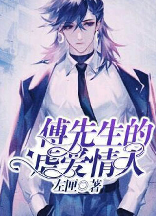 傅先生的虐爱情人左匣小说
