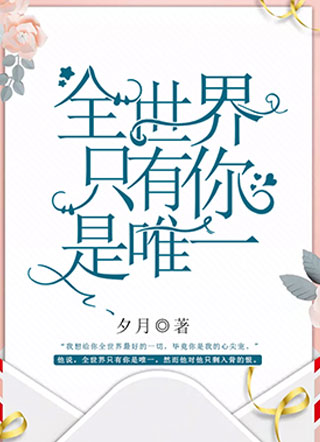 全世界只有你是唯一小说