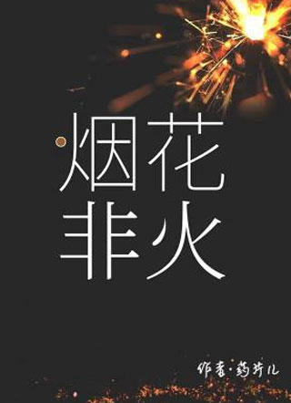 烟花非火小说