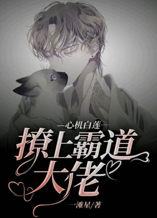 【快穿】心机白莲撩上霸道大佬谈语书小说