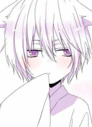 全草原都想和我谈恋爱小说