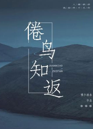 倦鸟知返陈延青小说