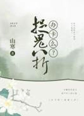 办卡吗，捉鬼八折小说