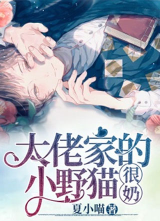 凌言大佬家的小野猫很奶小说