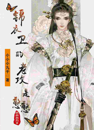 锦衣卫的老攻是憨憨小说