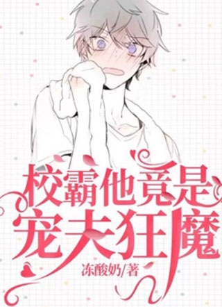 校霸他竟是宠夫狂魔乔若安小说